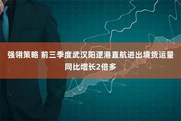 强翎策略 前三季度武汉阳逻港直航进出境货运量同比增长2倍多