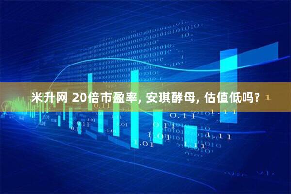 米升网 20倍市盈率, 安琪酵母, 估值低吗?
