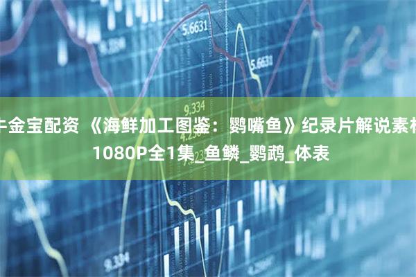 牛金宝配资 《海鲜加工图鉴：鹦嘴鱼》纪录片解说素材 1080P全1集_鱼鳞_鹦鹉_体表