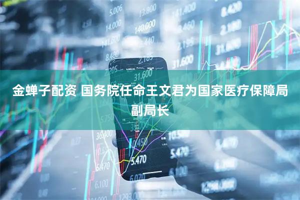 金蝉子配资 国务院任命王文君为国家医疗保障局副局长