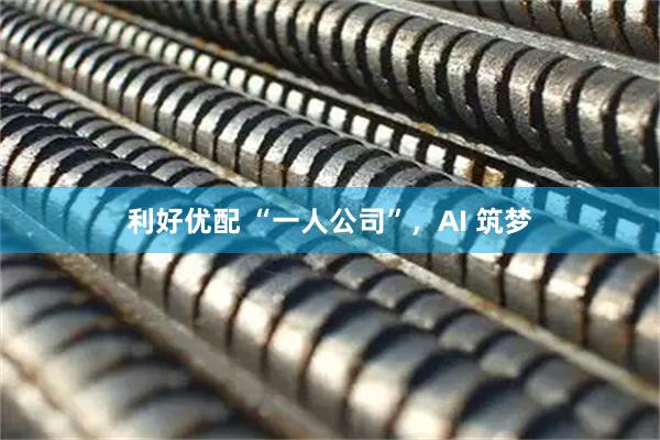 利好优配 “一人公司”，AI 筑梦