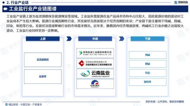 2024版工业盐行业市场运行态势及投资前景分(图3)